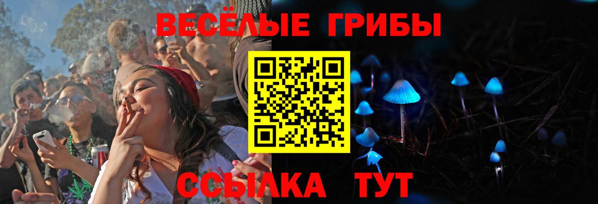 Галлюциногенные грибы GOLDEN TEACHER  Псилоцибиновые грибы ЛСД  Кандалакша  Вход с VPN 