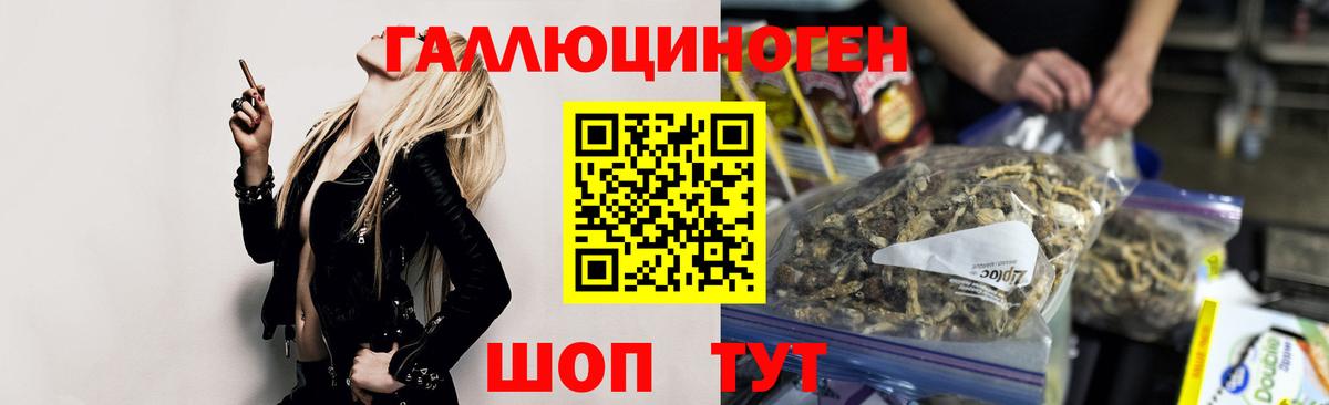 Галлюциногенные грибы Psilocybe Кандалакша