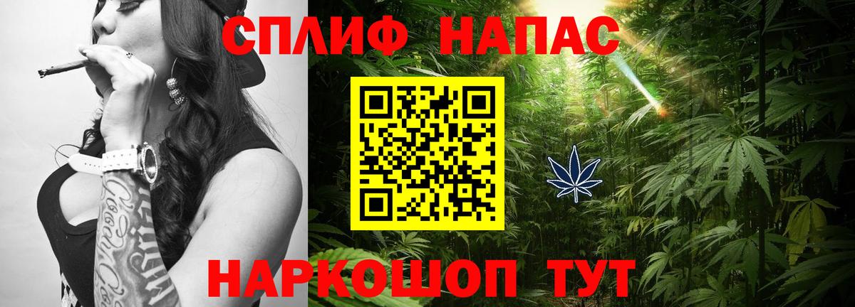 Конопля семена  Вход с VPN  Кандалакша  МАРИХУАНА тримм  Конопля MAZAR 